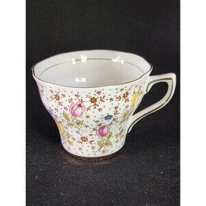 Vintage Rosina Fine China Tea Cup/Saucer Patter #4974 "June" Amazing Condition